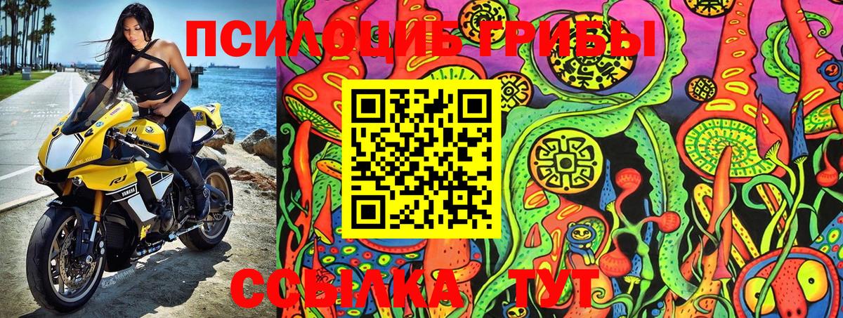 продажа наркотиков  Галлюциногенные грибы Psilocybine cubensis  Ханты-Мансийск  Вход с VPN  Галлюциногенные грибы Psilocybe 